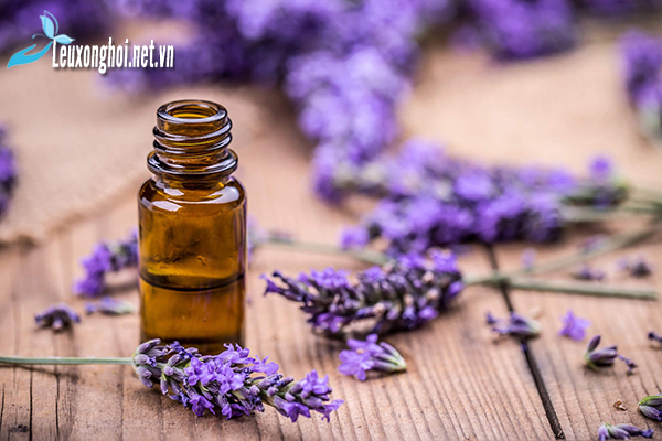 Sử dụng lều hơi sau sinh với tinh dầu oải hương có tác dụng gì?