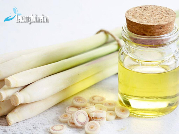 Tinh dầu sả là gì? Thành phần ra sao?