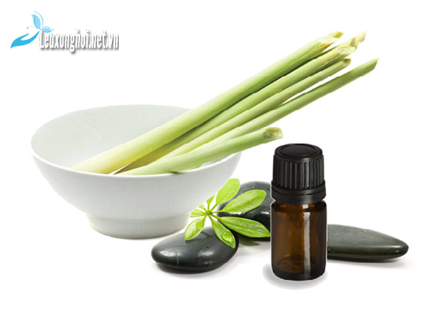 Tăng cường sức khỏe tổng thể và giải độc cơ thể