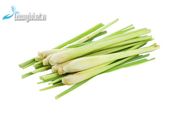 3+ Tác dụng sử dụng lều xông hơi mini với tinh dầu sả